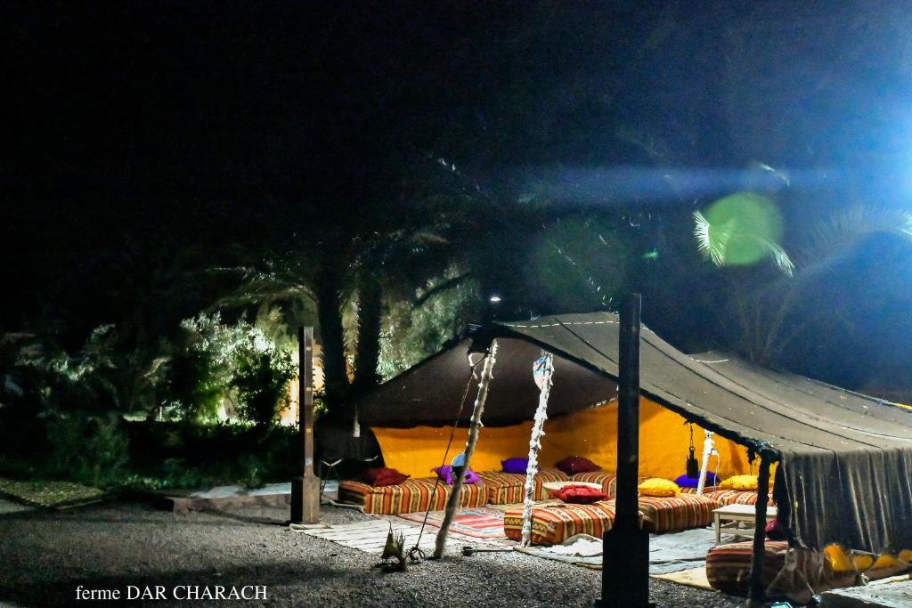 Saharan tent at night - Dar Charach